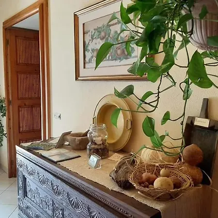 Alojamento de Acomodação e Pequeno-almoço Domus Deiana Mamoiada