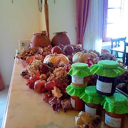 Domus Deiana فندق مبيت وإفطار 3*