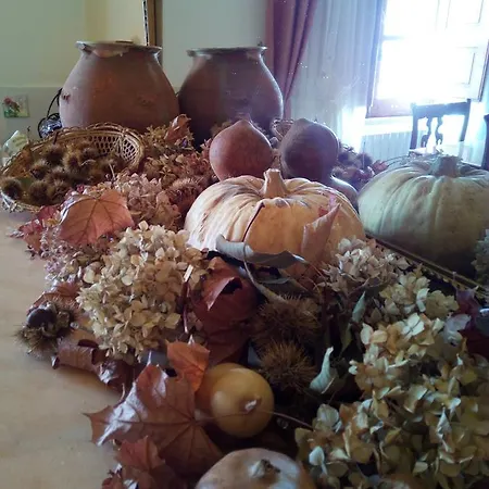 Domus Deiana فندق مبيت وإفطار