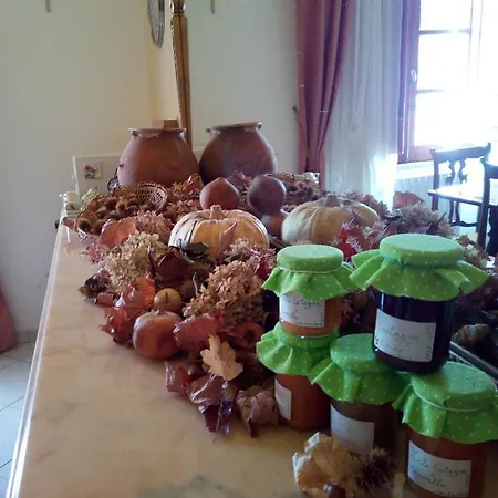 فندق مبيت وإفطار Domus Deiana